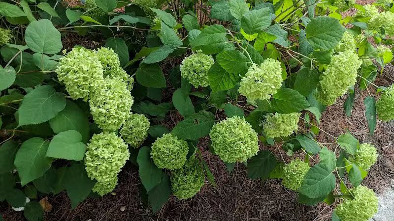 Gridley Triangle Park - Shaker Heights, OH