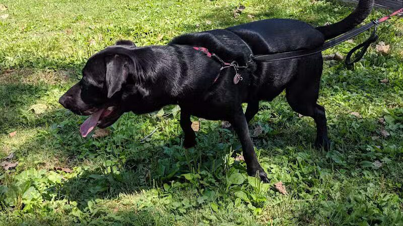 Gridley Triangle Park - Shaker Heights, OH