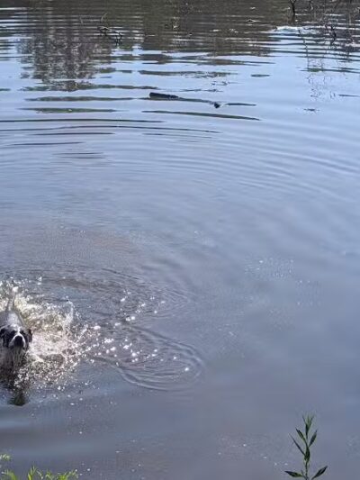 Horseshoe Lake Park - Shaker Heights, OH