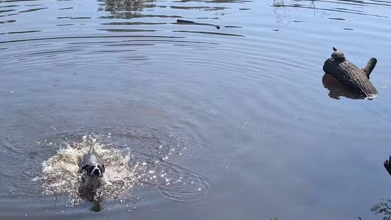 Horseshoe Lake Park - Shaker Heights, OH
