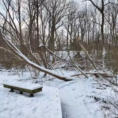 Horseshoe Lake Park - Shaker Heights, OH