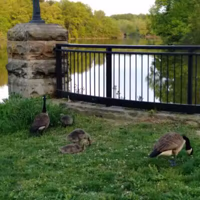 Southerly Park - Shaker Heights, OH