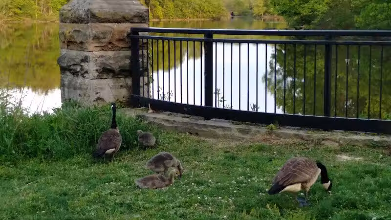 Southerly Park - Shaker Heights, OH