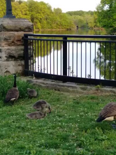Southerly Park - Shaker Heights, OH