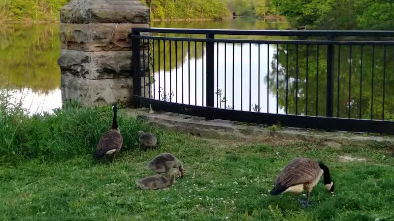Southerly Park - Shaker Heights, OH