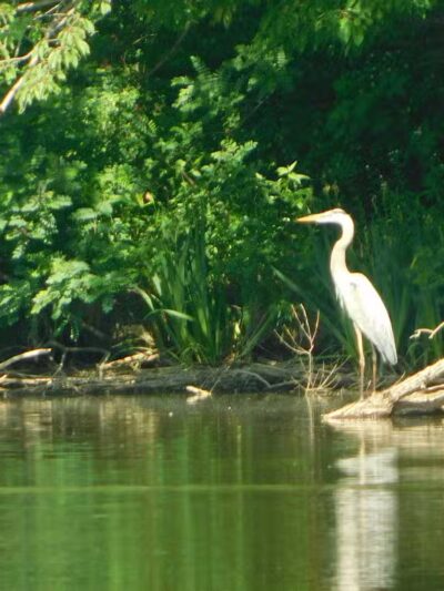 Southerly Park - Shaker Heights, OH