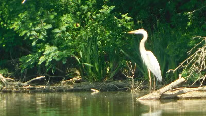 Southerly Park - Shaker Heights, OH