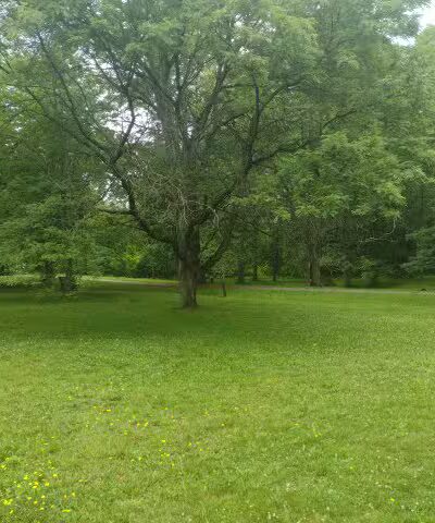 Southerly Park - Shaker Heights, OH