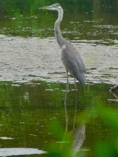 Southerly Park - Shaker Heights, OH