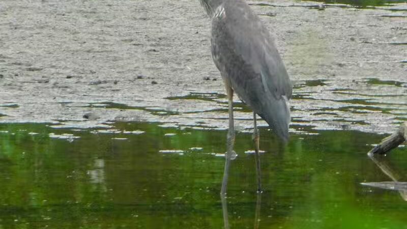 Southerly Park - Shaker Heights, OH