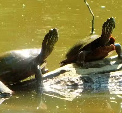 Southerly Park - Shaker Heights, OH
