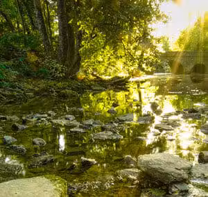 Sharon Woods - Sharonville, OH