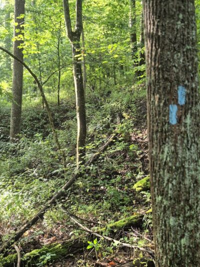 Village of Shawnee Village Park - Shawnee, OH