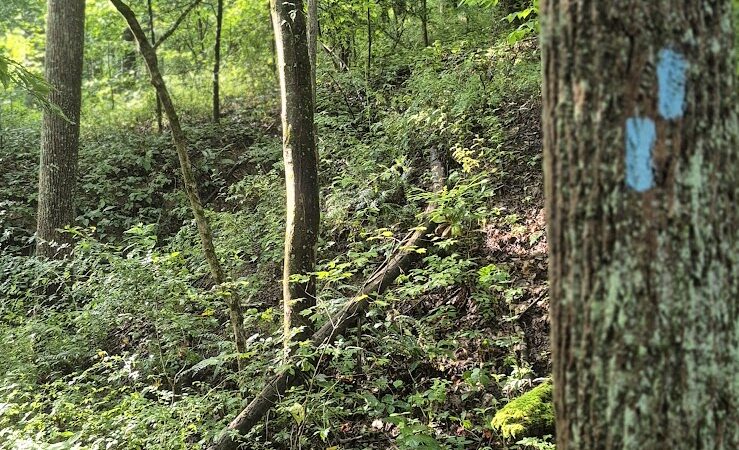 Village of Shawnee Village Park - Shawnee, OH