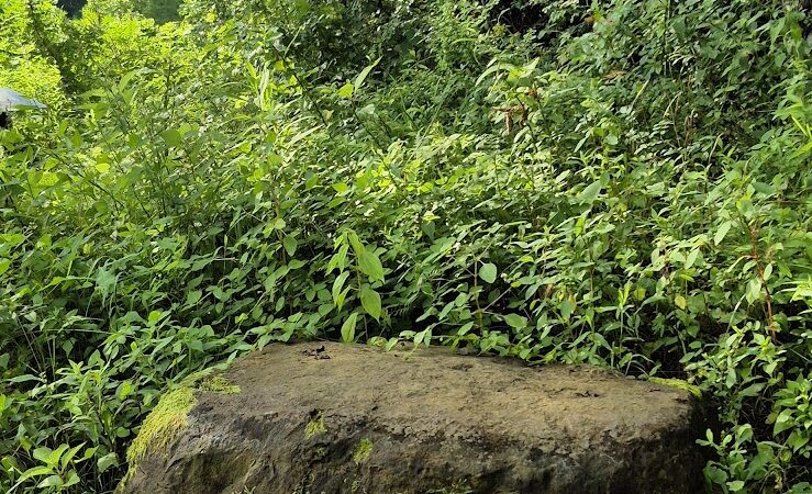 Village of Shawnee Village Park - Shawnee, OH