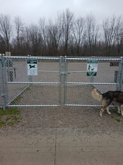 Sheffield Lake Dog Park Runner - Sheffield Lake, OH