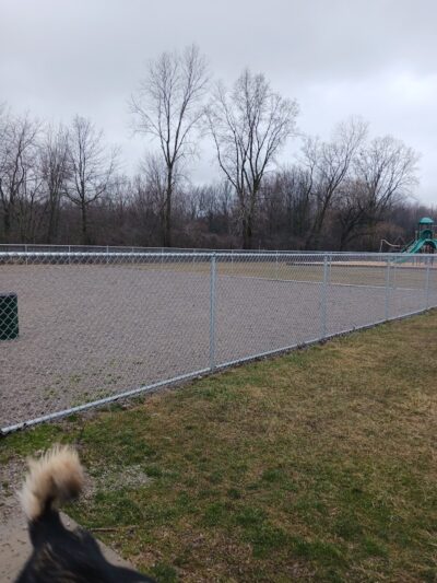 Sheffield Lake Dog Park Runner - Sheffield Lake, OH
