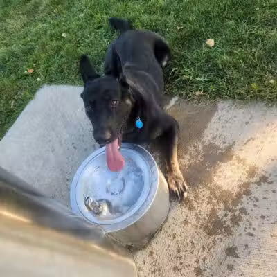 Rabold Parkand Dog Park - Shelby, OH
