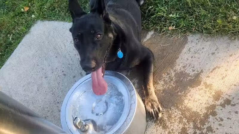 Rabold Parkand Dog Park - Shelby, OH