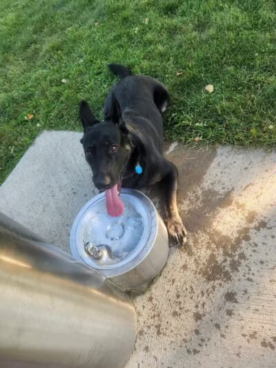 Rabold Parkand Dog Park - Shelby, OH