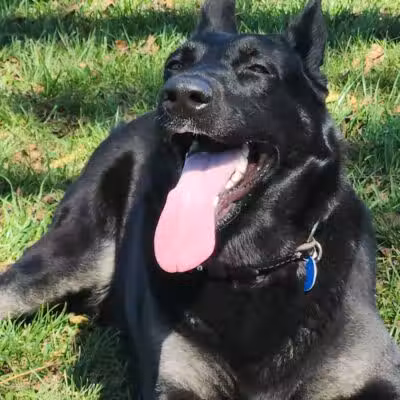 Rabold Parkand Dog Park - Shelby, OH