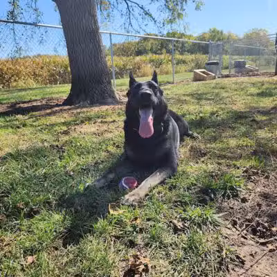 Rabold Parkand Dog Park - Shelby, OH