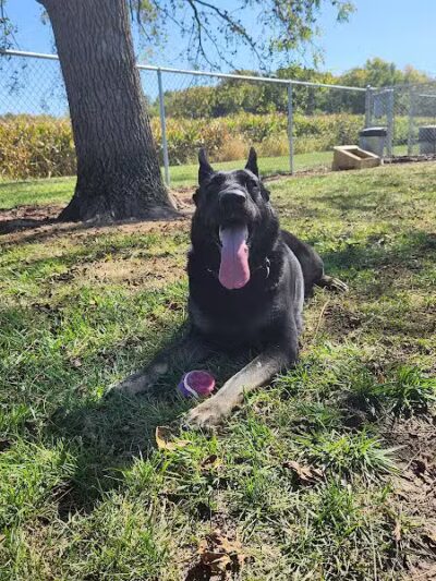 Rabold Parkand Dog Park - Shelby, OH
