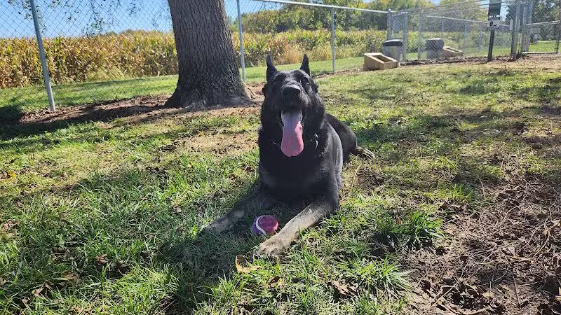 Rabold Parkand Dog Park - Shelby, OH