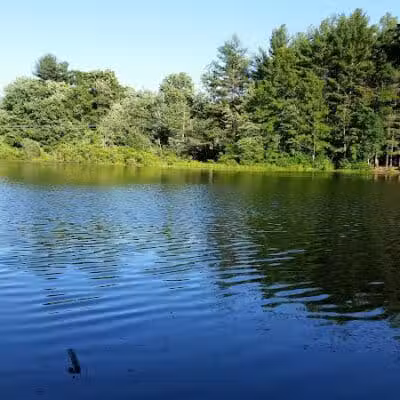 Shelton Dog Park - Shelton, CT