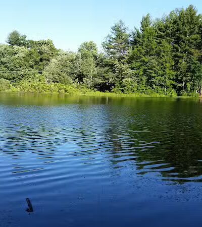 Shelton Dog Park - Shelton, CT