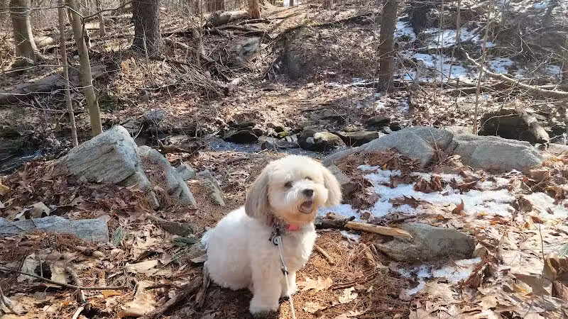 Shelton Dog Park - Shelton, CT