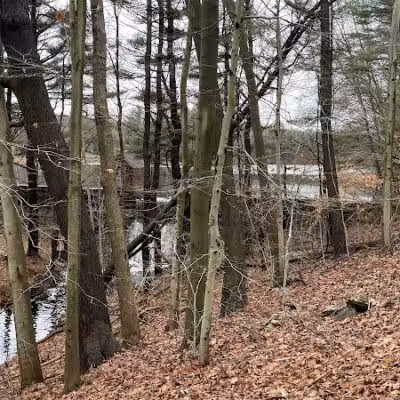 Shelton Dog Park - Shelton, CT