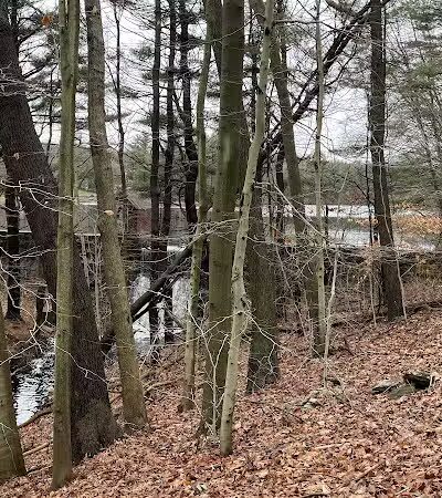 Shelton Dog Park - Shelton, CT