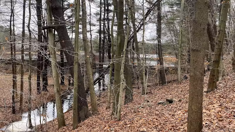 Shelton Dog Park - Shelton, CT