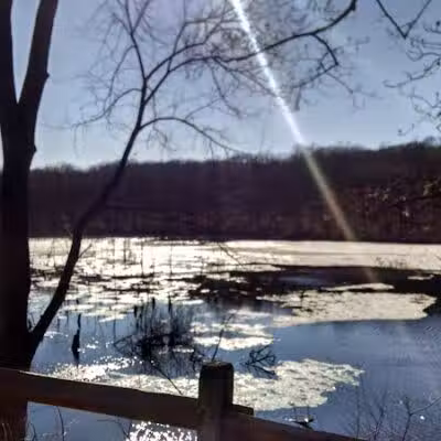 Shelton Dog Park - Shelton, CT