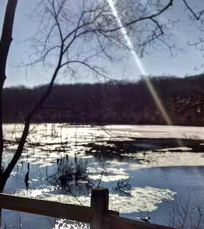 Shelton Dog Park - Shelton, CT