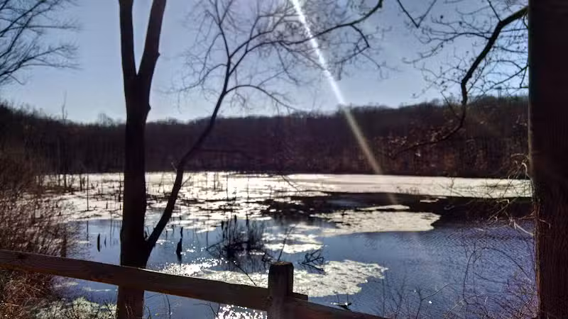 Shelton Dog Park - Shelton, CT