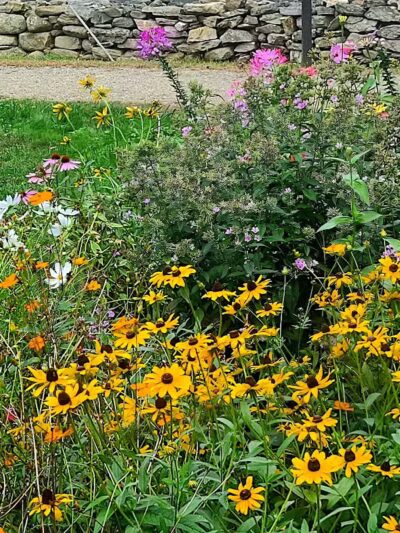 Shelton Dog Park - Shelton, CT