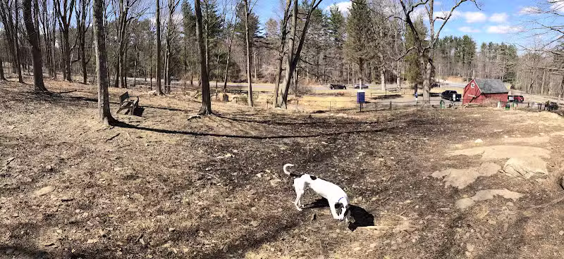 Shelton Dog Park - Shelton, CT