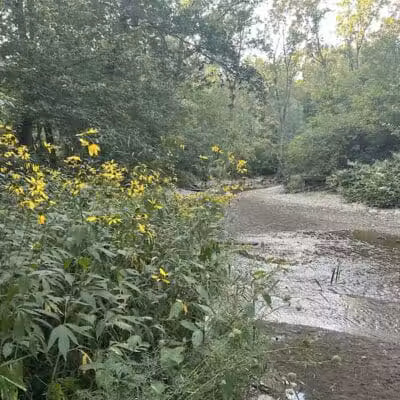 City of Sidney, Ohio Tawawa Park - Sidney, OH