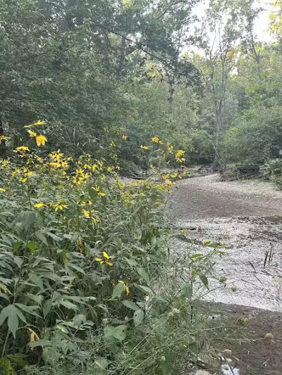 City of Sidney, Ohio Tawawa Park - Sidney, OH