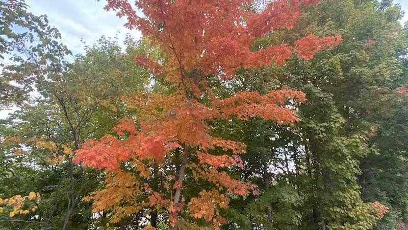 City of Sidney, Ohio Tawawa Park - Sidney, OH