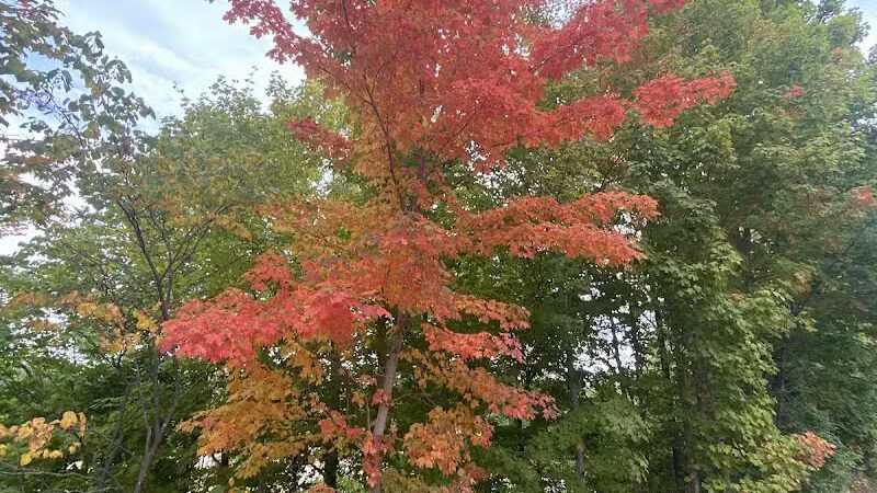 City of Sidney, Ohio Tawawa Park - Sidney, OH