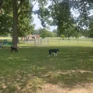 Deam Park - Sidney, OH