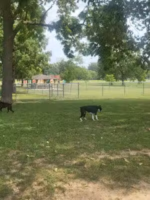 Deam Park - Sidney, OH