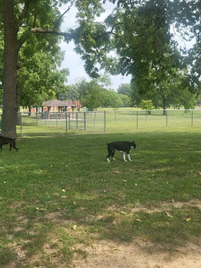 Deam Park - Sidney, OH