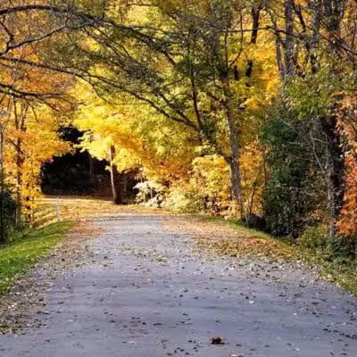 Tawawa Park - Sidney, OH