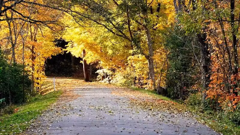 Tawawa Park - Sidney, OH