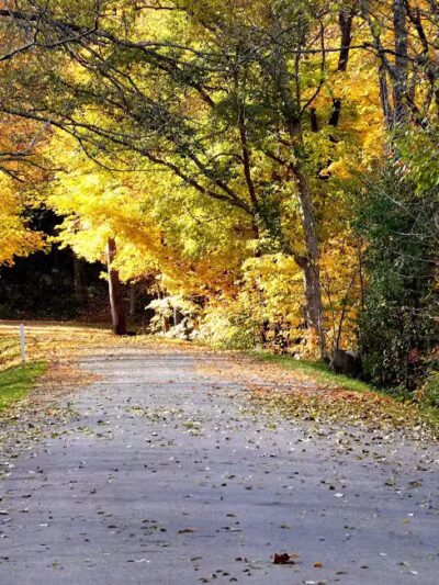 Tawawa Park - Sidney, OH