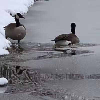 Shadow Lake - Solon, OH
